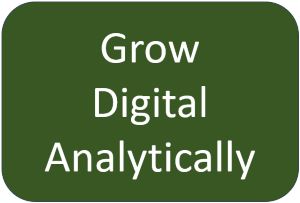 digital growth consulting service