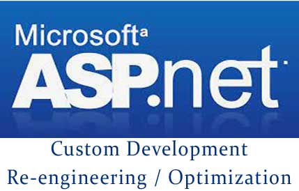 custom asp.net application development company