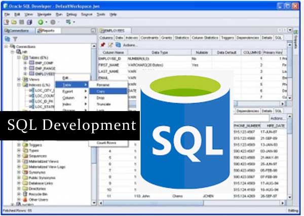 sql database development company in kolkata
